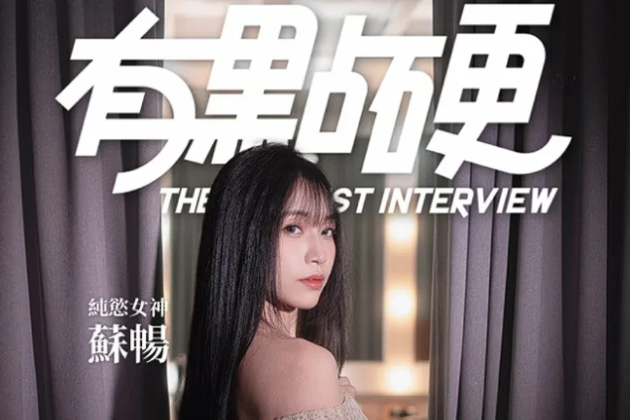 这个面试有点硬 (3) 这个面试有点硬攻略大全版本资料 封面图